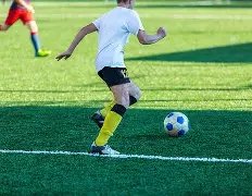 政和发现八,闽未知鸟种,颠覆学界鸟,世界杯下注,世界杯投注,2026世界杯,在线博彩,体育下注